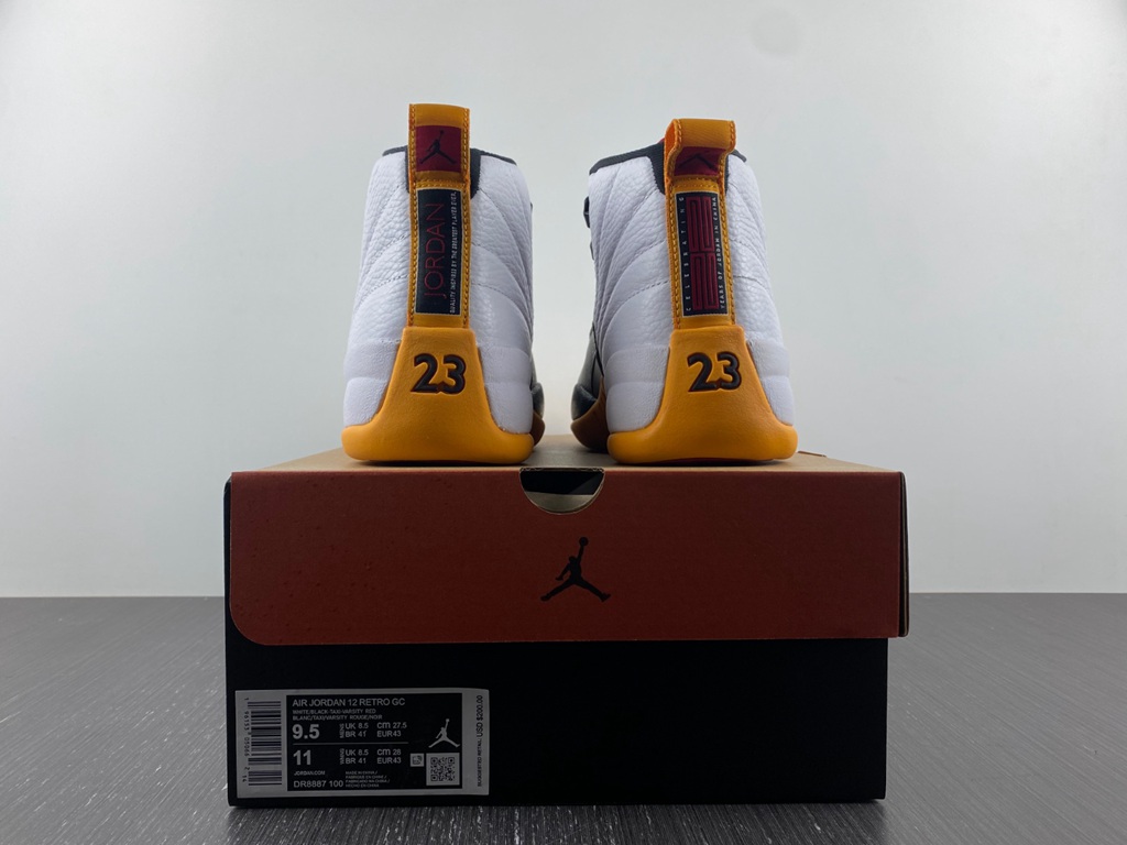 Air Jordan 12 Retro AJ12  DR8887-100